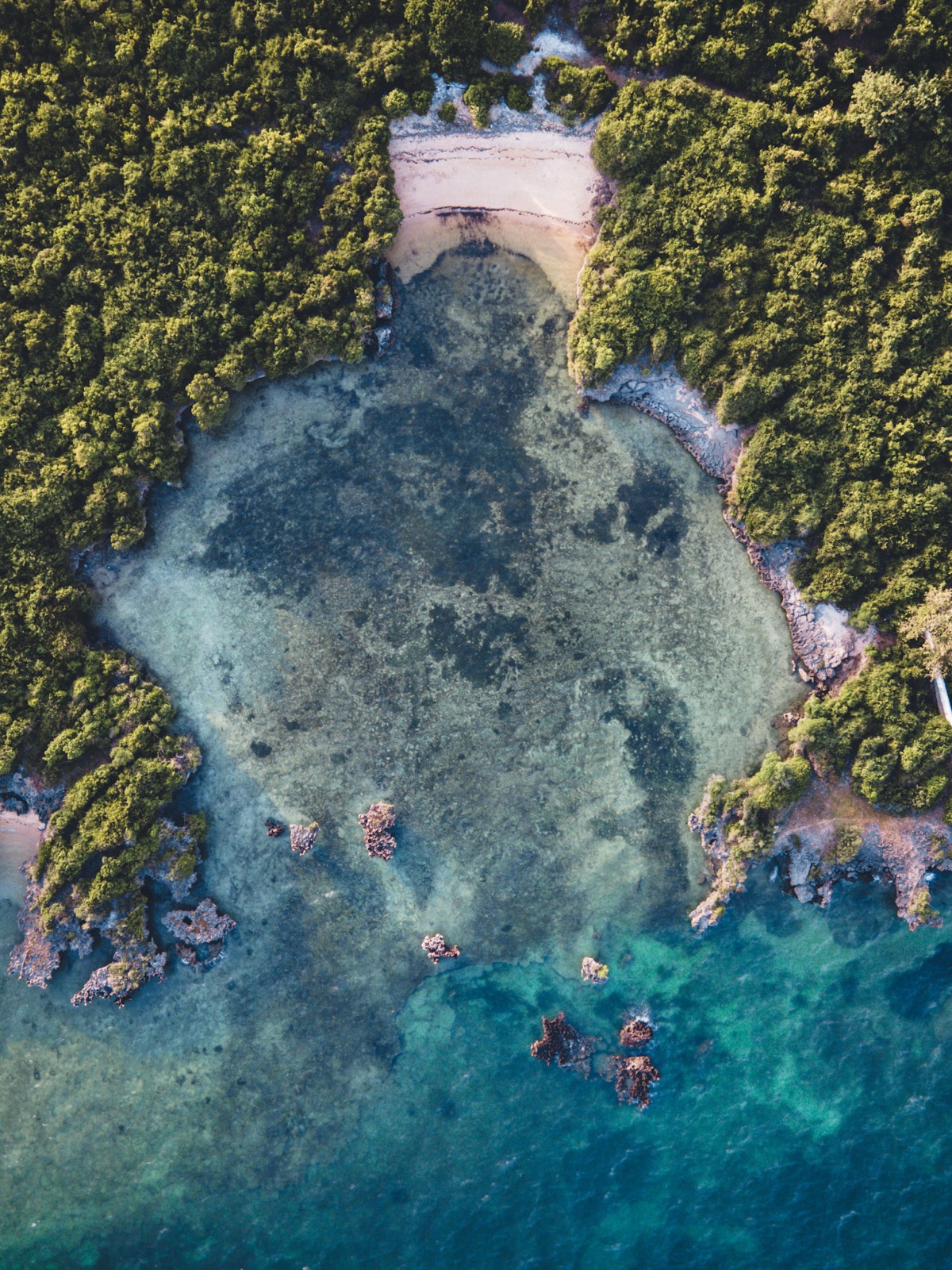 Mafia Island Tansania — unberührter Meerespark und Mangrovenküste