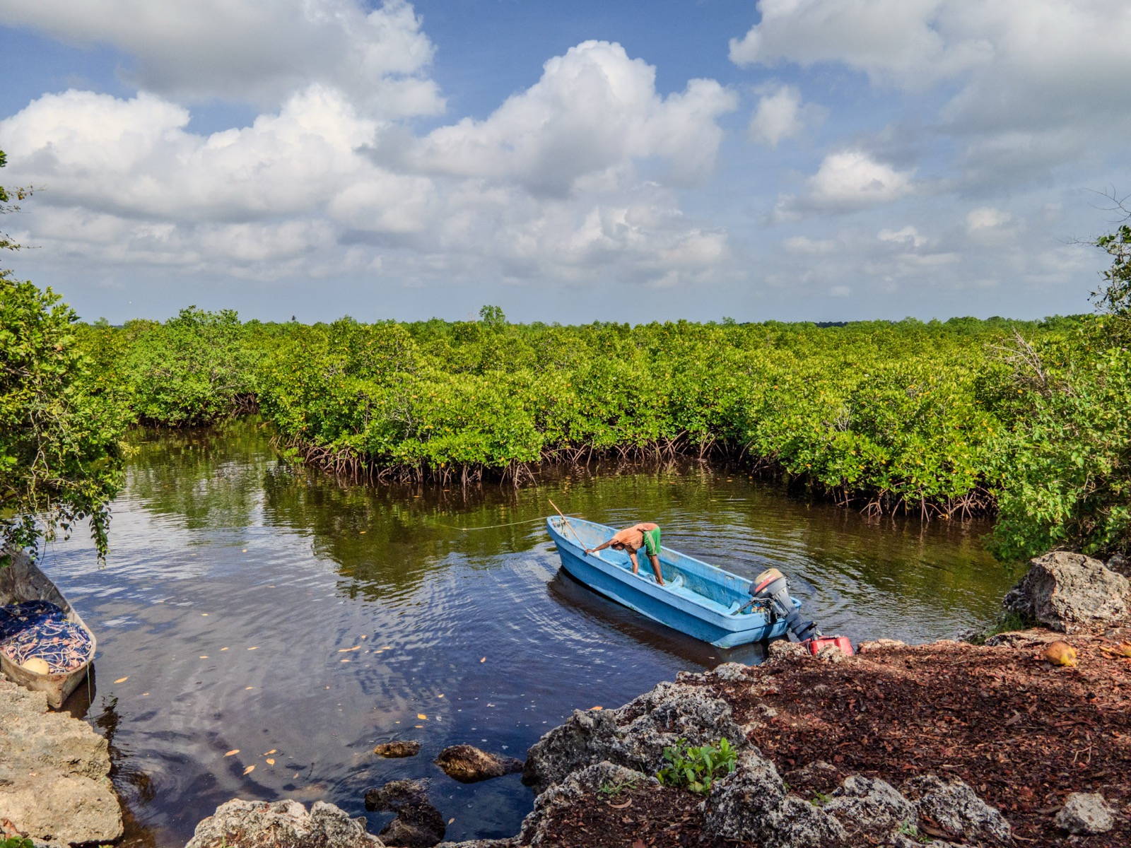 Person in a small boat navigating through lush green tropical channels on the way to open water, Zanzibar