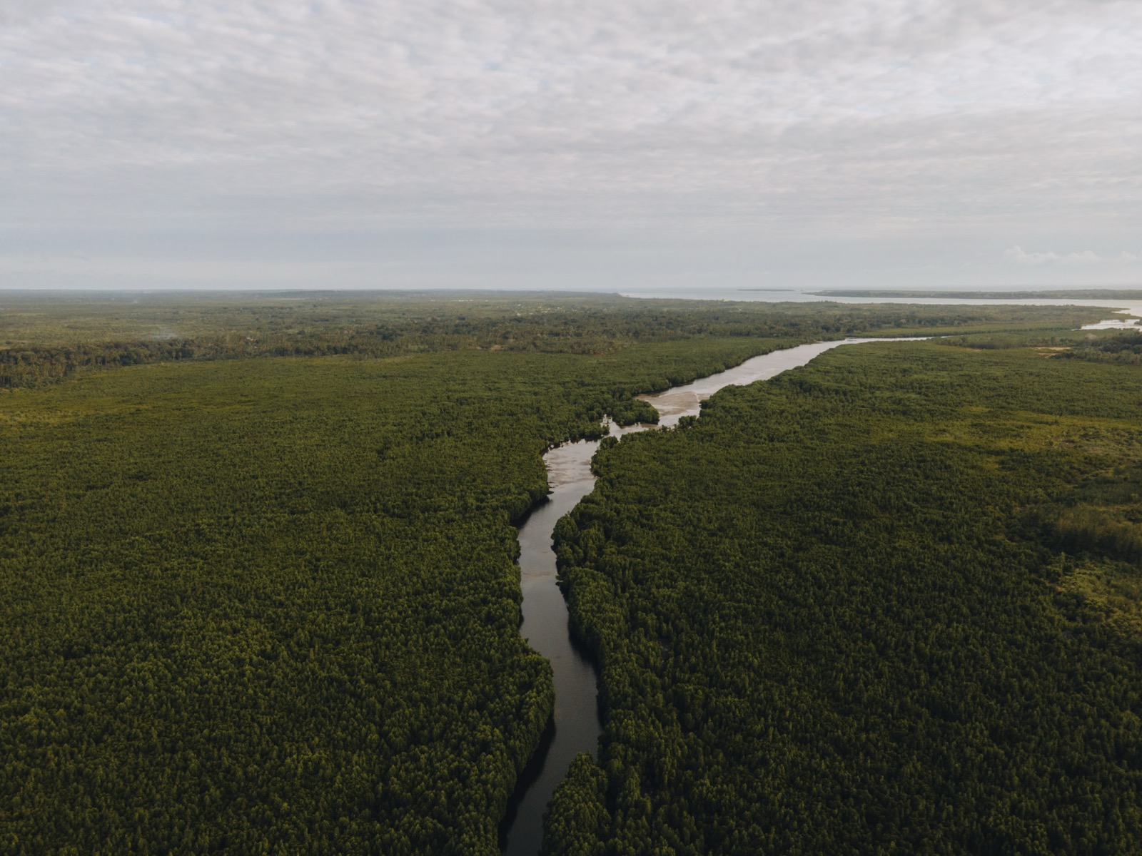 Aerial view of a winding channel through dense mangrove forest in the Zanzibar Archipelago coastal zone